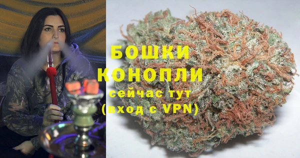 сатива Богданович