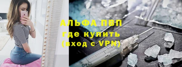 шишки Беломорск