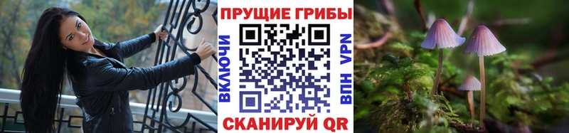 Галлюциногенные грибы MAGIC MUSHROOMS  Барыш 